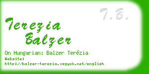 terezia balzer business card